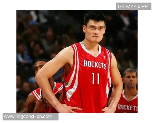 姚明的篮球生涯与成就全景回顾及个人简历分析