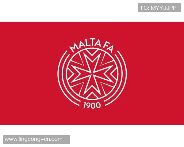 中国足协官网logo设计理念解析与品牌形象提升探讨